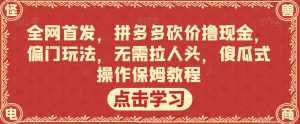 全网首发，拼多多砍价撸现金，偏门玩法，无需拉人头，傻瓜式操作保姆教程【揭秘】-第一资源网