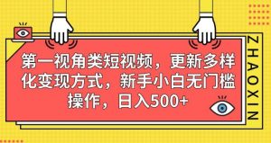 第一视角类短视频，更新多样化变现方式，新手小白无门槛操作，日入500+【揭秘】-第一资源网