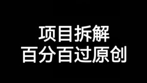 项目拆解赛道百分百过原创【揭秘】-第一资源网