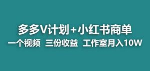 【蓝海项目】多多v计划+小红书商单一个视频三份收益工作室月入10w-第一资源网