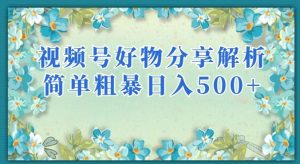 视频号好物分享解析，简单粗暴可以批量方大的项目【揭秘】-第一资源网