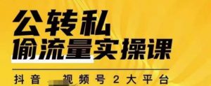 群响公转私偷流量实操课,致力于拥有更多自持,持续,稳定,精准的私域流量!-第一资源网