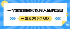 一单卖299-2688,一个靠复购就可以月入6k的暴利项目【揭秘】-第一资源网