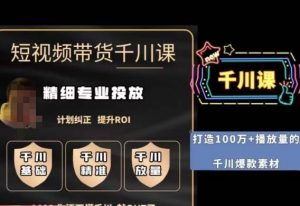短视频带货-千川专业投放课,精细化专业投放,计划纠正,提升ROI-第一资源网