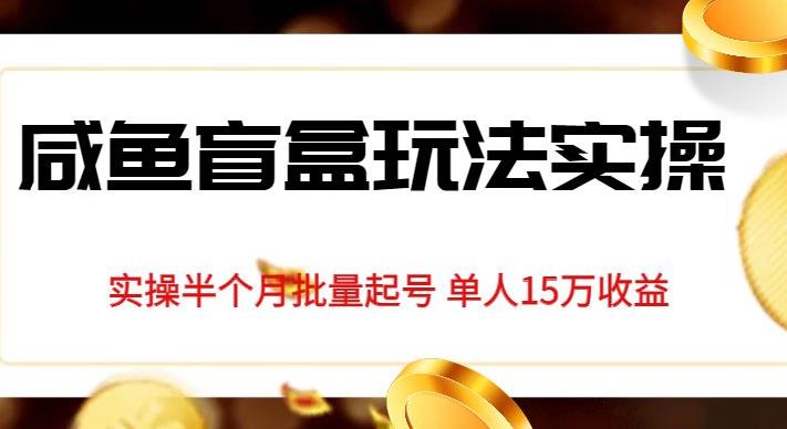独家首发咸鱼盲盒玩法实操，半个月批量起号单人15万收益【揭秘】-第一资源网