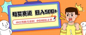 小红书育儿资料,一部手机可操作,多种变现方式,日入500+,私域变现,长期可持续项目【揭秘】-第一资源网