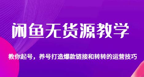 闲鱼无货源教学，教你起号，养号打造爆款链接以及转转的运营技巧-第一资源网