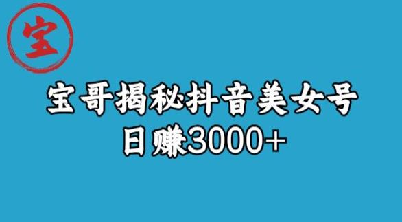 宝哥揭秘抖音美女号玩法，日赚3000+【揭秘】-第一资源网