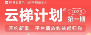 2023年8月份网易云最新独家挂机技术,真正实现挂机月入5000【揭秘】-第一资源网