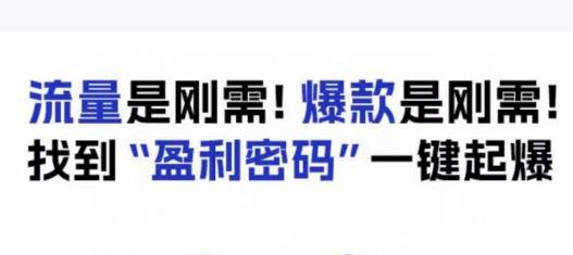 电商盈利精品课：6大盈利密码让产品更好卖，流量是刚需！爆款是刚需！找到”盈利密码”一键起爆-第一资源网