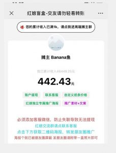 盲盒交友5.0，男粉变现实操项目，亲测变现效果极好【揭秘】-第一资源网