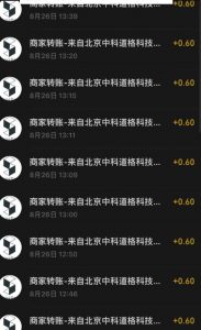接码无限撸红包一分钟0.6无脑操作一天保底利润200-第一资源网