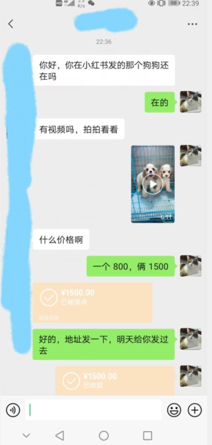 外边收费3980的同城萌宠项目，用最冷门的玩法冲击最热门的市场【揭秘】-第一资源网