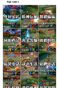 副业拆解：抖音王者荣耀游戏变现副业项目，视频版一条龙实操玩法分享给你-第一资源网