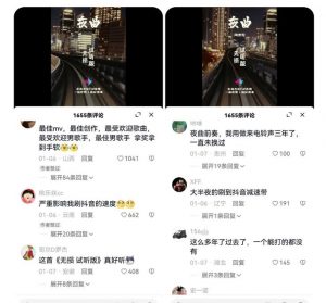 副业拆解:抖音杰伦音乐号涨粉变现项目,视频版一条龙实操玩法分享给你-第一资源网