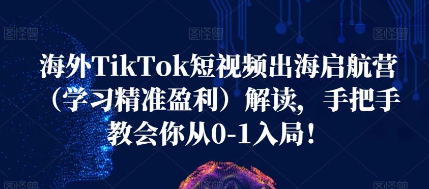 海外TikTok短视频出海启航营（学习精准盈利）解读，手把手教会你从0-1入局！-第一资源网