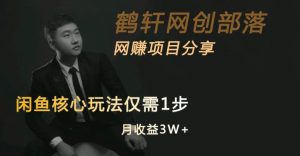 闲鱼核心玩法不卖货也能1年变现20W，玩法简单-第一资源网