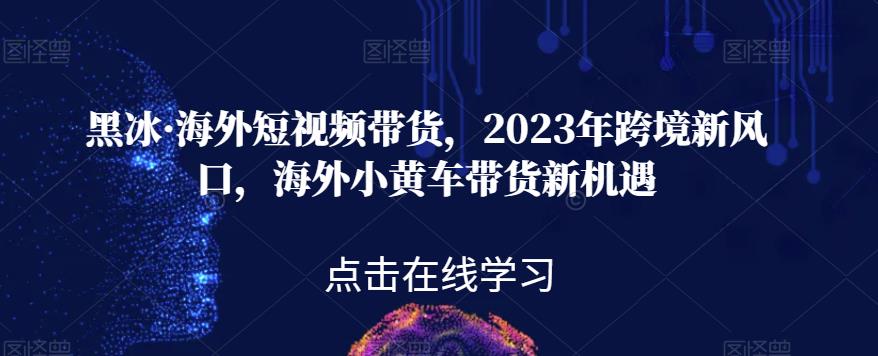 黑冰·海外短视频带货，2023年跨境新风口，海外小黄车带货新机遇-第一资源网
