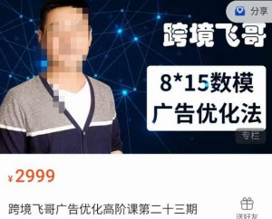 跨境飞哥·广告优化高阶课第二十三期,8*15数模广告优化法,用数据驱动决策-第一资源网