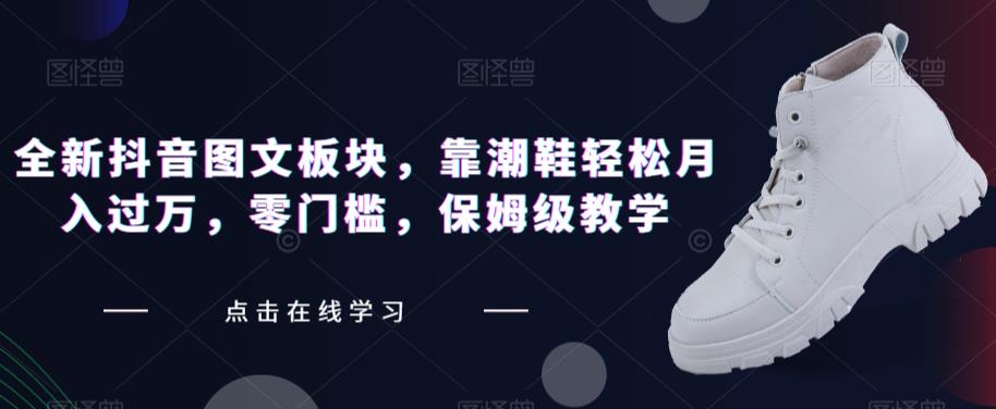 全新抖音图文板块，靠潮鞋轻松月入过万，零门槛，保姆级教学【揭秘】-第一资源网