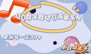 QQ群全自动引流音乐粉,单账号一天轻松引流30+-第一资源网