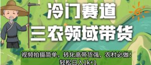 冷门赛道三农领域带货，视频拍摄简单，转化高带货强，农村必做！【揭秘】-第一资源网