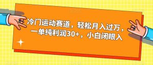 冷门运动赛道，轻松月入过万，一单纯利润30+，小白闭眼入【揭秘】-第一资源网