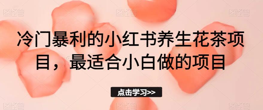 冷门暴利的小红书养生花茶项目，最适合小白做的项目【揭秘】-第一资源网