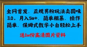 全网首发正规男粉玩法卖圆味3.0,月入5W+,简单粗暴,操作简单,保姆式教学,小白轻松上手-第一资源网
