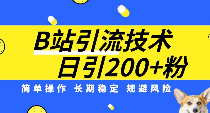 B站引流技术：每天引流200精准粉，简单操作，长期稳定，规避风险-第一资源网