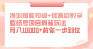 海外爆款视频+保姆级教学,壁纸号项目最新玩法,月入10000+教你一步到位【揭秘】-第一资源网
