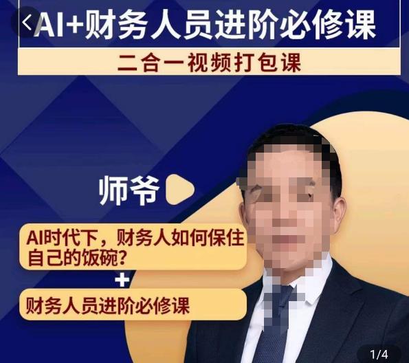 AI+财务人员进阶必修课二合一视频打包课，财务人员进阶必修课-第一资源网