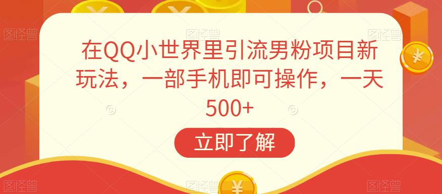 在QQ小世界里引流男粉项目新玩法，一部手机即可操作，一天500+【揭秘】-第一资源网