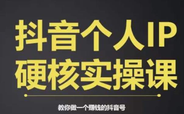 个人IP创富系统实战课，商业定位，流量打造，短视频变现，教你做个赚钱的抖音号-第一资源网
