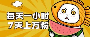 暴力涨粉项目:每天一小时,七天上万粉【揭秘】-第一资源网