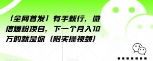 【全网首发】有手就行,微信爆粉项目,下一个月入10万的就是你(附实操视频)【揭秘】-第一资源网