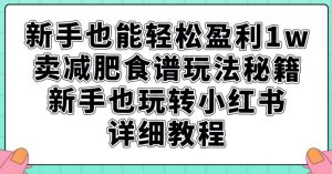 新手也能轻松盈利1w，卖减肥食谱玩法秘籍，新手也玩转小红书详细教程【揭秘】-第一资源网