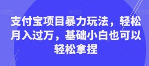 支付宝项目暴力玩法，轻松月入过万，基础小白也可以轻松拿捏【揭秘】-第一资源网