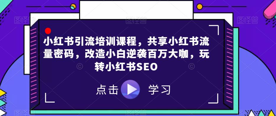 小红书引流培训课程，共享小红书流量密码，改造小白逆袭百万大咖，玩转小红书SEO-第一资源网