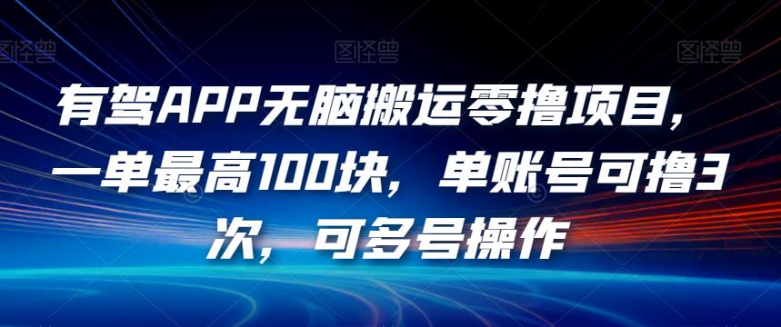 有驾APP无脑搬运零撸项目，一单最高100块，单账号可撸3次，可多号操作【揭秘】-第一资源网