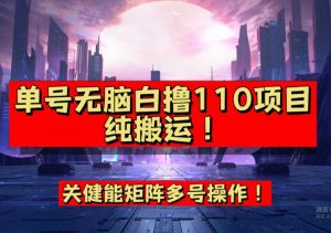 9月全网首发，单号直接白撸110！可多号操作，无脑搬运复制粘贴【揭秘】-第一资源网