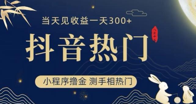 抖音最新小程序撸金，测手相上热门，当天见收益一小时变现300+【揭秘】-第一资源网