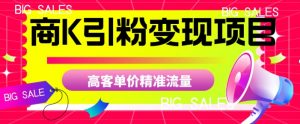 商K引粉变现项目，高客单价精准流量【揭秘】-第一资源网