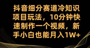 抖音细分赛道冷知识项目玩法，10分钟快速制作一个视频，新手小白也能月入1W+【揭秘】-第一资源网