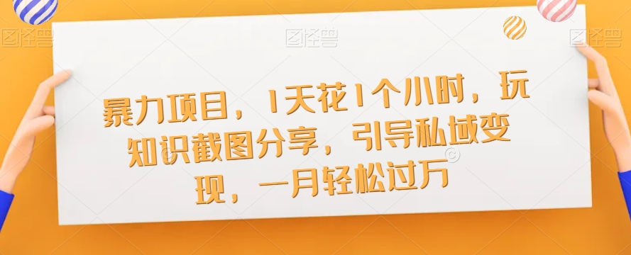 暴力项目，1天花1个小时，玩知识截图分享，引导私域变现，一月轻松过万【截图】-第一资源网