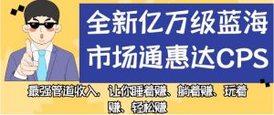全新亿万级蓝海市场通惠达cps，最强管道收入，让你睡着赚、躺着赚、玩着赚、轻松赚【揭秘】-第一资源网