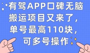 有驾APP口碑无脑搬运项目又来了，单号最高110块，可多号操作-第一资源网