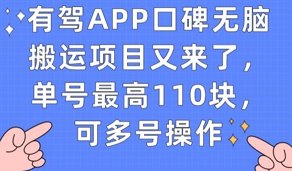 有驾APP口碑无脑搬运项目又来了，单号最高110块，可多号操作-第一资源网