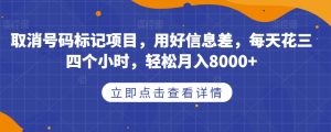 取消号码标记项目，用好信息差，每天花三四个小时，轻松月入8000+【揭秘】-第一资源网