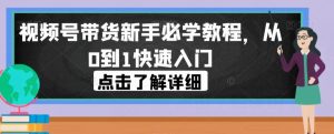 视频号带货新手必学教程,从0到1快速入门-第一资源网
